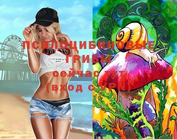 СК Алексеевка