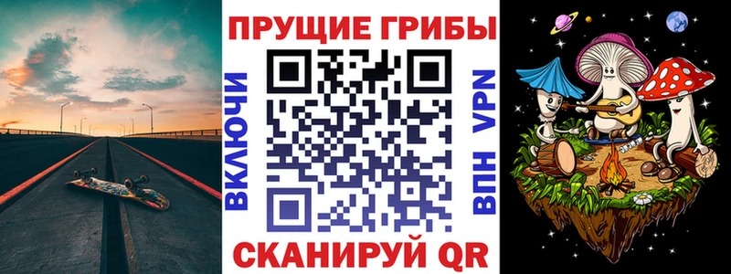 где продают   Беслан  Галлюциногенные грибы Psilocybe 